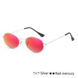 Oval Sunglasses Women
